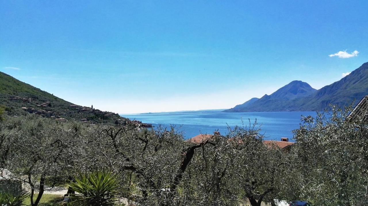 Appartamenti Casa Nina, Lago,Montagne, Uliveti Brenzone sul Garda Dış mekan fotoğraf
