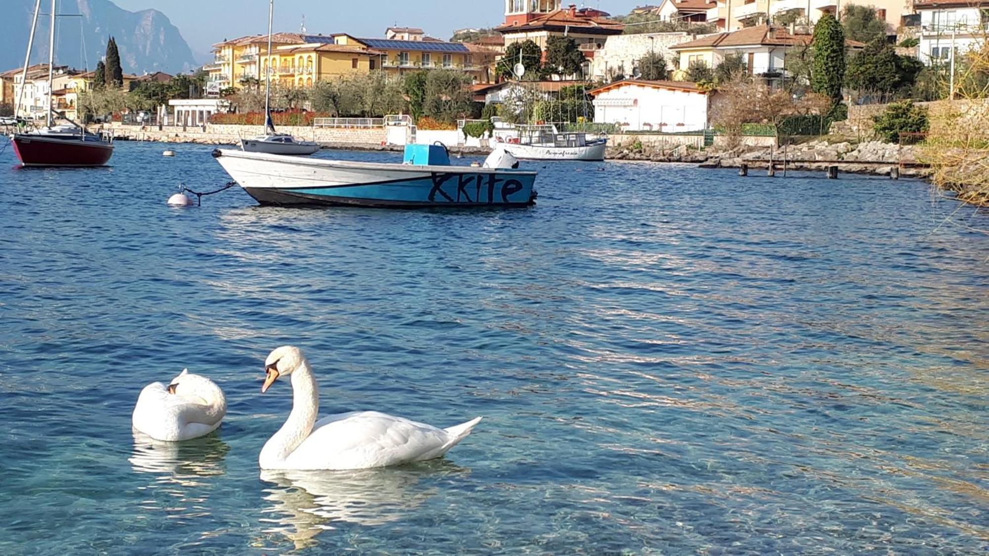 Appartamenti Casa Nina, Lago,Montagne, Uliveti Brenzone sul Garda Dış mekan fotoğraf